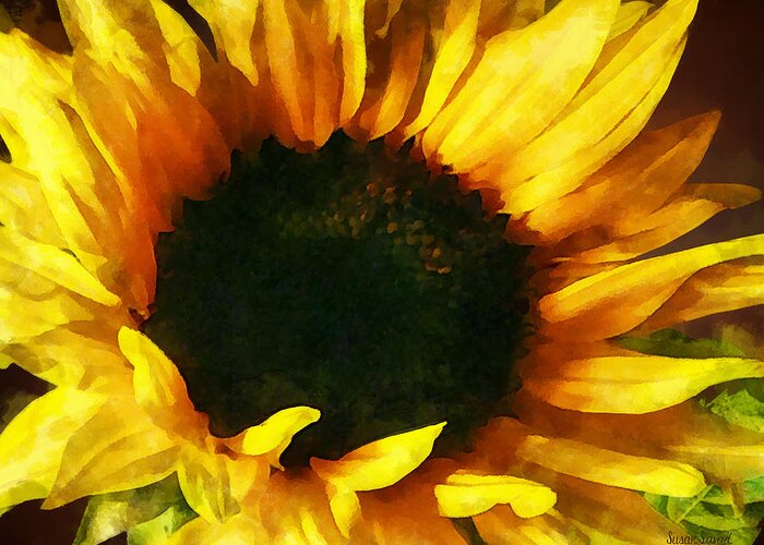 Sunflower Greeting Card featuring the photograph Sunflower Shadow and Light by Susan Savad