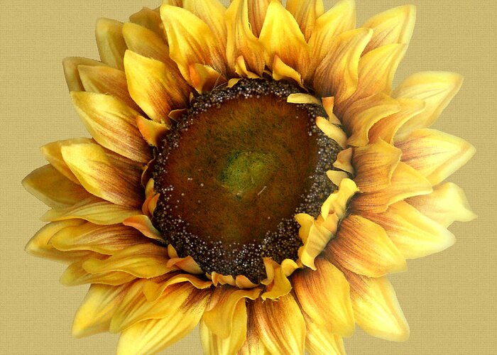 Floral Greeting Card featuring the digital art Sunflower by Tom Romeo