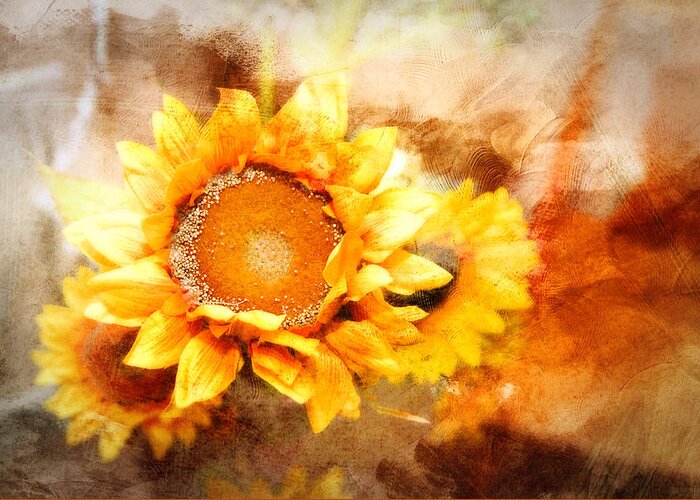 Sunflowers. Yellow Petals. Autumn. Fall Colors. Flowers. Photography. Fine Art. Print. Canvas. Texture. Poster. Greeting Card. Greeting Card featuring the photograph Sunflowers Aglow by Mary Timman