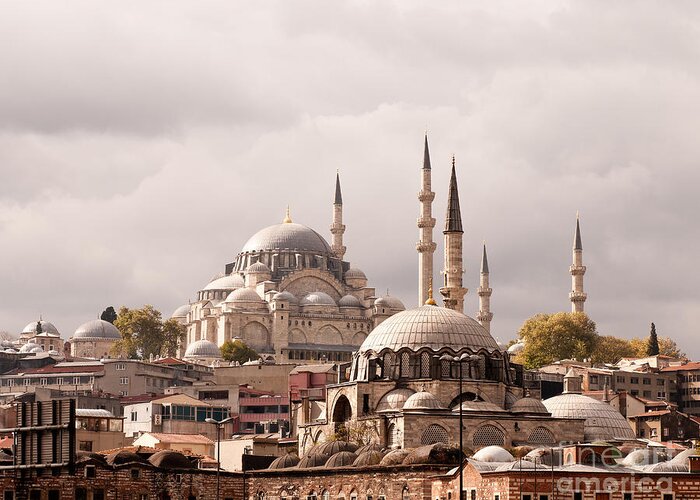Istanbul Greeting Card featuring the photograph Sunlit Domes by Rick Piper Photography