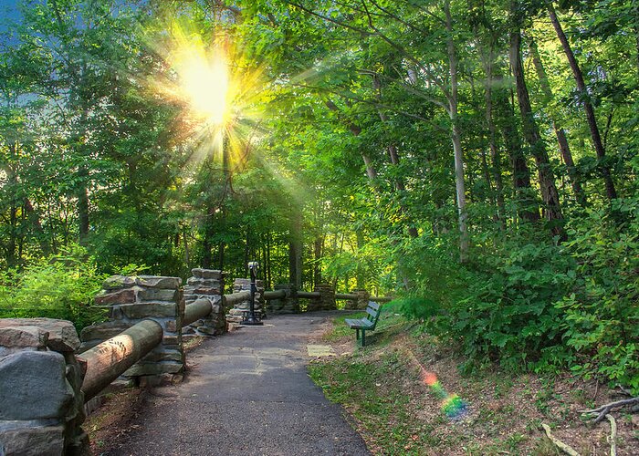 Sunlit Greeting Card featuring the photograph Sunlit Path by Mary Almond