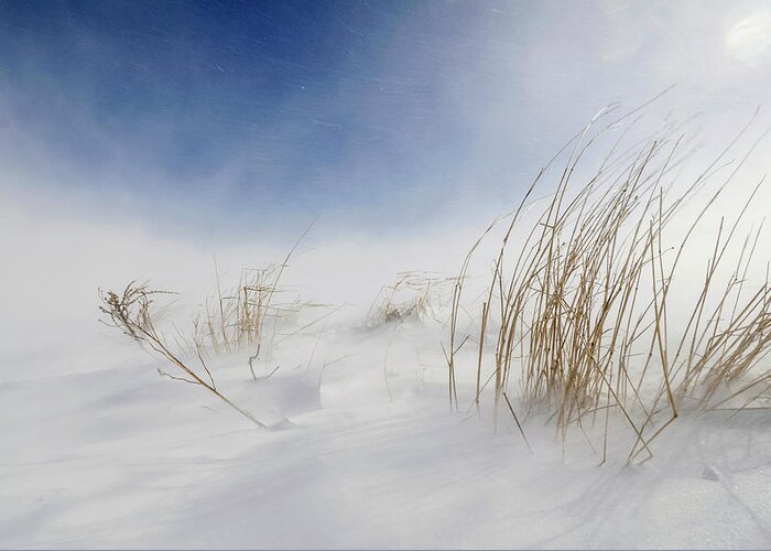 Snow Greeting Card featuring the photograph Sunny Snowstorm by Carlo Tonti