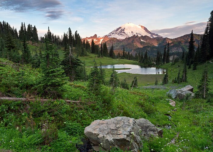 Abies Lasiocarpa Greeting Card featuring the photograph Sunrise at Mount Rainier and Upper Tipsoo Lake by Michael Russell