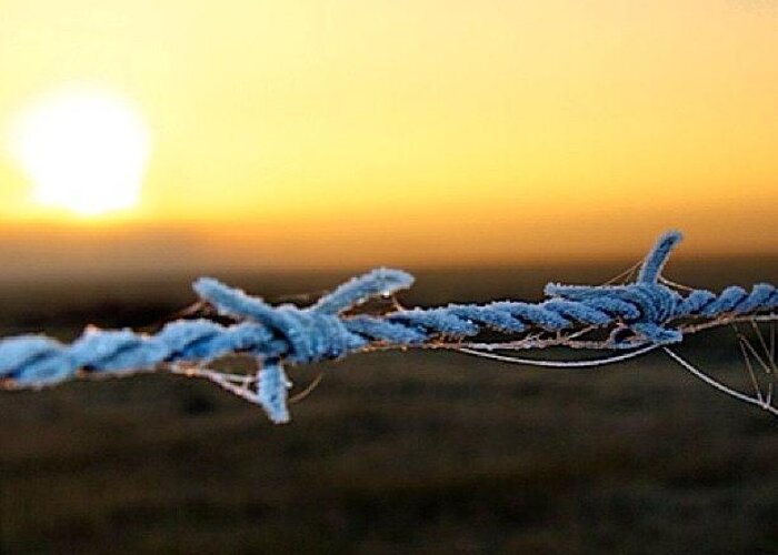 Barbwire Greeting Card featuring the photograph #sunrise #frost #ice #barbwire #sun by Paul Jeans