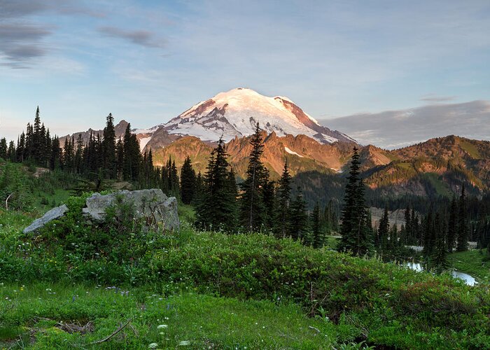Abies Lasiocarpa Greeting Card featuring the photograph Sunrise Light on Mount Rainier by Michael Russell