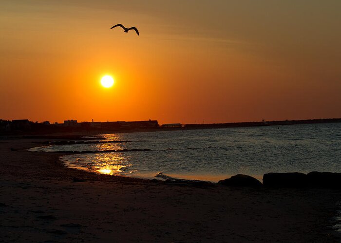 Sunrise Greeting Card featuring the photograph Sunrise On Cape Cod by John Hoey