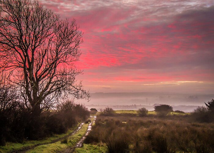 Ireland Greeting Card featuring the photograph Sunrise over Decomade Pasture in County Clare by James Truett