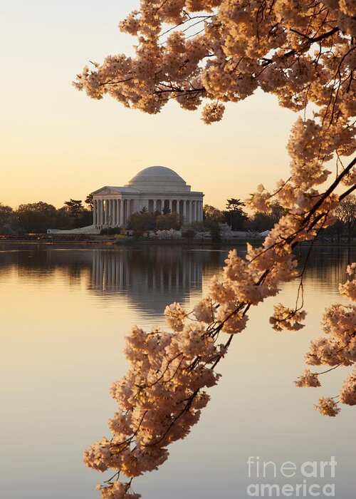 Washington Dc Greeting Card featuring the photograph Sunrise over Jefferson Memorial by Brian Jannsen