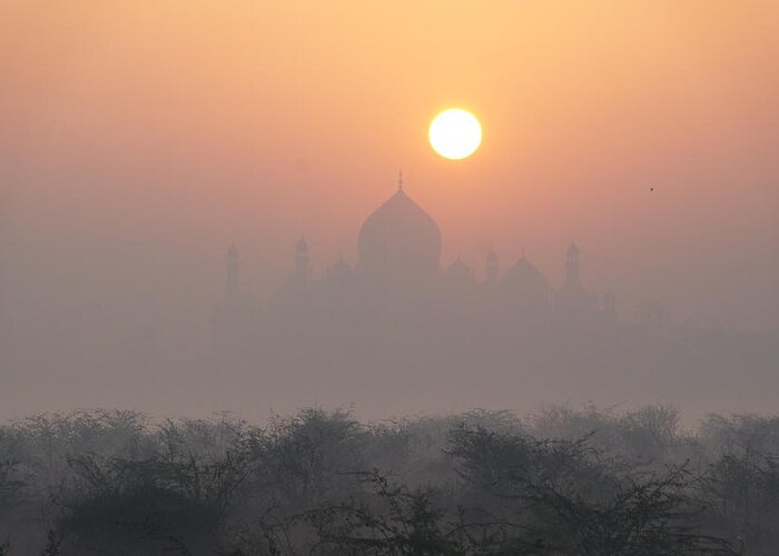 Taj Mahal Greeting Card featuring the photograph Sunrise over the Taj by Elena Perelman