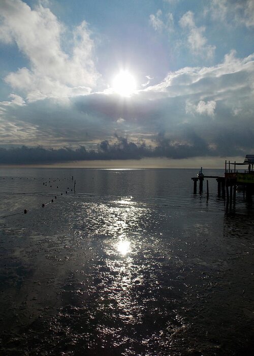Cedar Key Greeting Card featuring the photograph Sunrise Reflection Cedar Key Beach by Sheri McLeroy