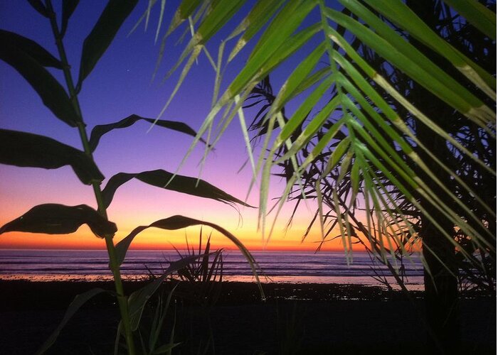 Sunset Greeting Card featuring the photograph Sunset at Sano Onofre by Paul Carter