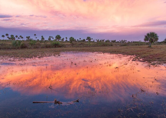 Sun Greeting Card featuring the photograph Everglades Afterglow by Doug McPherson