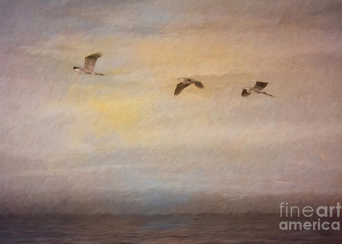 Great Blue Herons Greeting Card featuring the digital art Sunset Flight by Jayne Carney