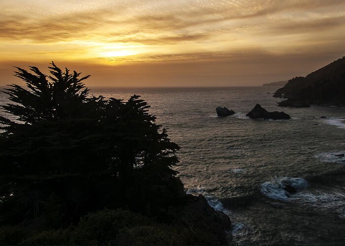 Photography Greeting Card featuring the photograph Sunset from Julia Pfeiffer Burns State Park by Lee Kirchhevel