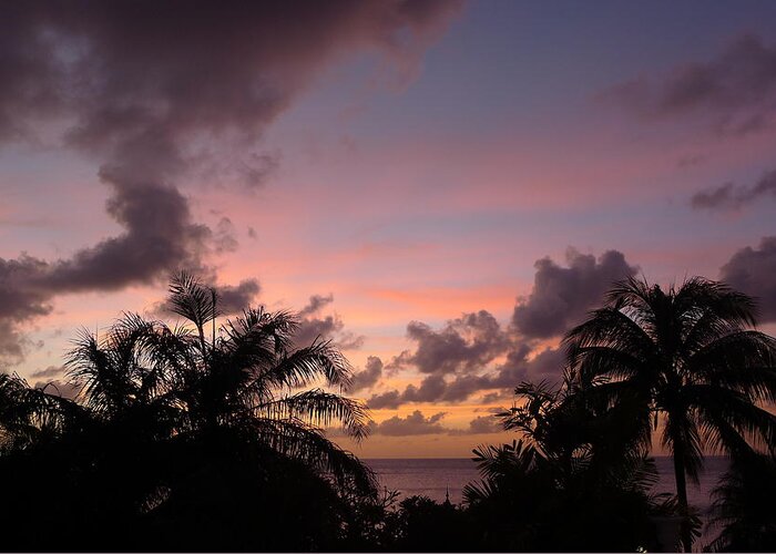  Greeting Card featuring the photograph Sunset from Terrace 3 St. Lucia by Nora Boghossian