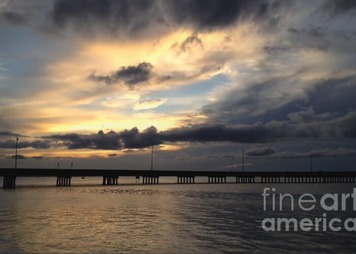 Florida Greeting Card featuring the photograph Sunset in Florida by Gina Cormier