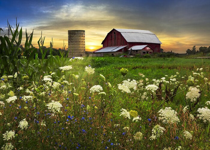 Barn Greeting Card featuring the photograph Sunset Lace Pastures by Debra and Dave Vanderlaan