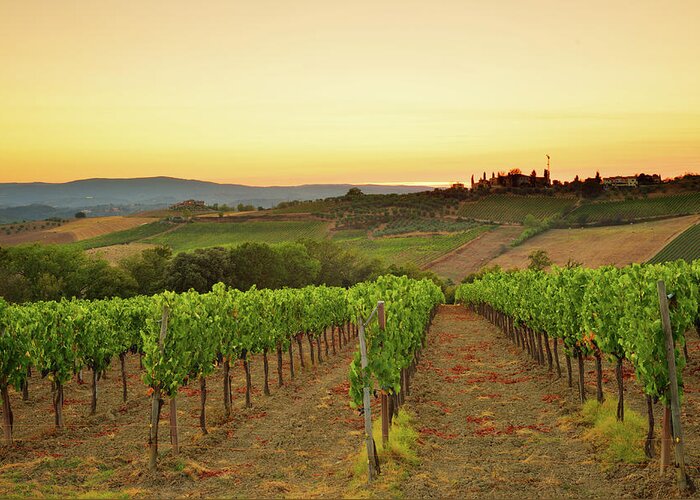 Environmental Conservation Greeting Card featuring the photograph Sunset Over The Vineyard From Tuscany by Csondy