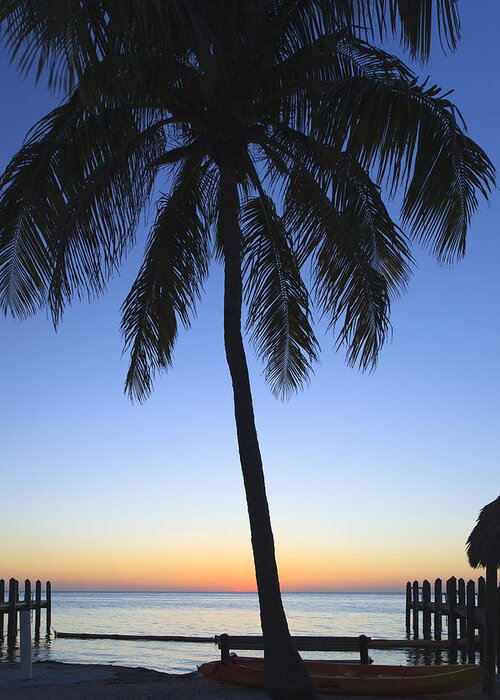 Bayshore Greeting Card featuring the photograph Sunset Palm by Raul Rodriguez