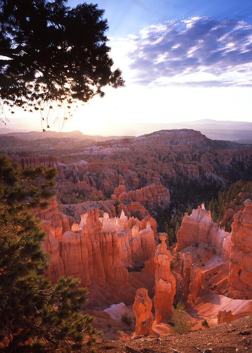 Bryce Canyon National Park Greeting Card featuring the photograph Sunset Point Sunrise by Ray Mathis