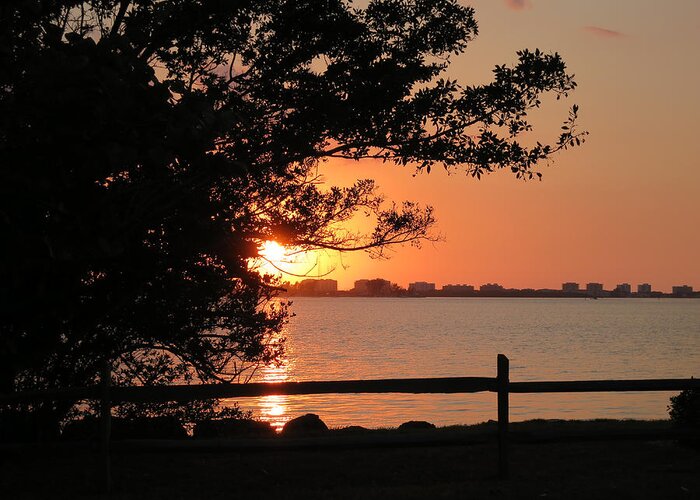 Sunset Greeting Card featuring the photograph Sunset on Sarasota Harbor by Richard Goldman