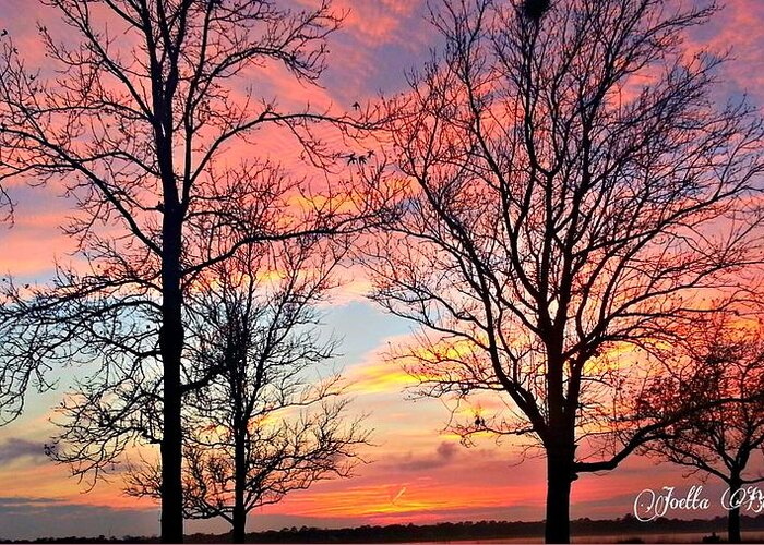 Sunset Greeting Card featuring the photograph Sunset Shadow by Joetta Beauford