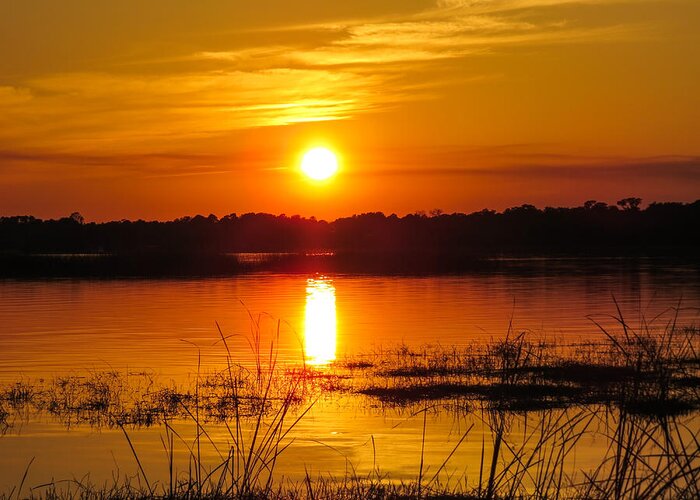 Sunset Greeting Card featuring the photograph Sunset walk in the water by Zina Stromberg