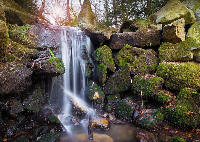 Dublin Greeting Card featuring the photograph Sunset Waterfalls in Marlay Park by Semmick Photo