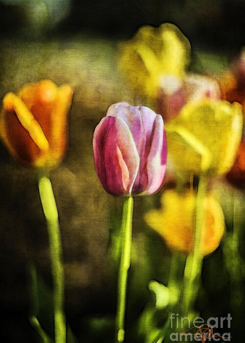Tulips Greeting Card featuring the painting Sunshine and Tulips Modern Art by Contemporary Artist by Jani Bryson