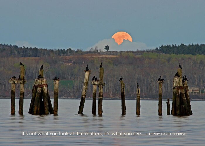 Super Moon Greeting Card featuring the photograph Super Moon with Thoreau Quote by Barbara West