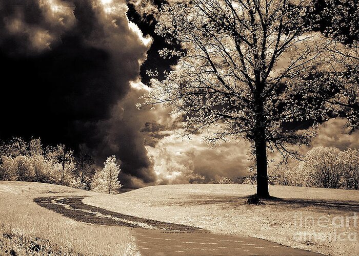 Infrared Sepia Nature Photos Greeting Card featuring the photograph Surreal Dark Gothic Infrared Sepia Trees Clouds Landscape by Kathy Fornal