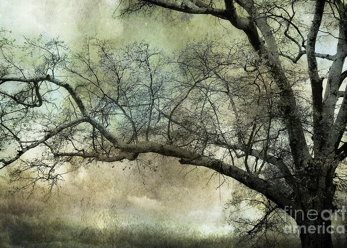 South Carolina Greeting Card featuring the digital art Surreal Gothic Fantasy Fairytale Trees Nature Landscape - South Carolina Oak Trees by Kathy Fornal