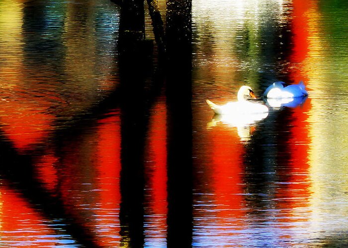 Digital Art Greeting Card featuring the photograph Swans Sojourn by Aurelio Zucco