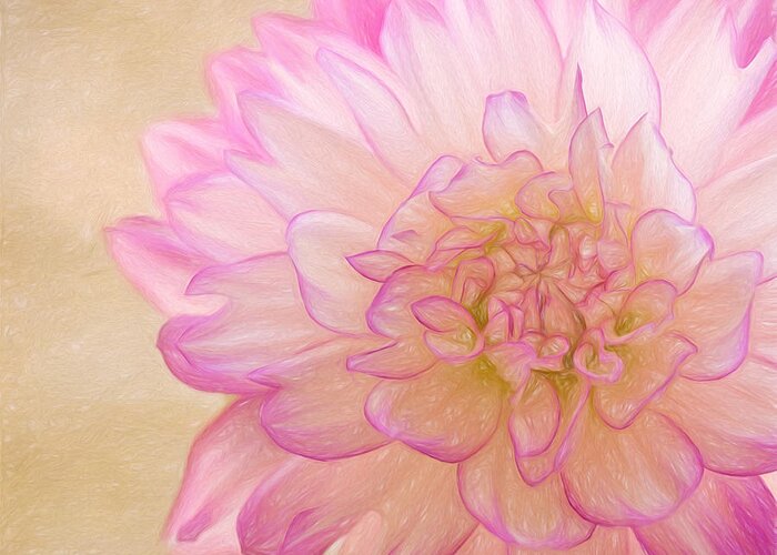Pink Dahlia Greeting Card featuring the photograph Sweet Memories by Kim Hojnacki