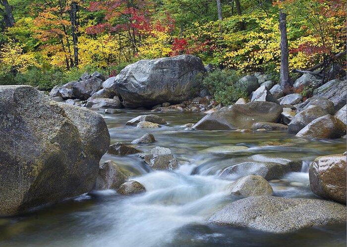 Feb0514 Greeting Card featuring the photograph Swift River In Fall White Mountains New by Tim Fitzharris