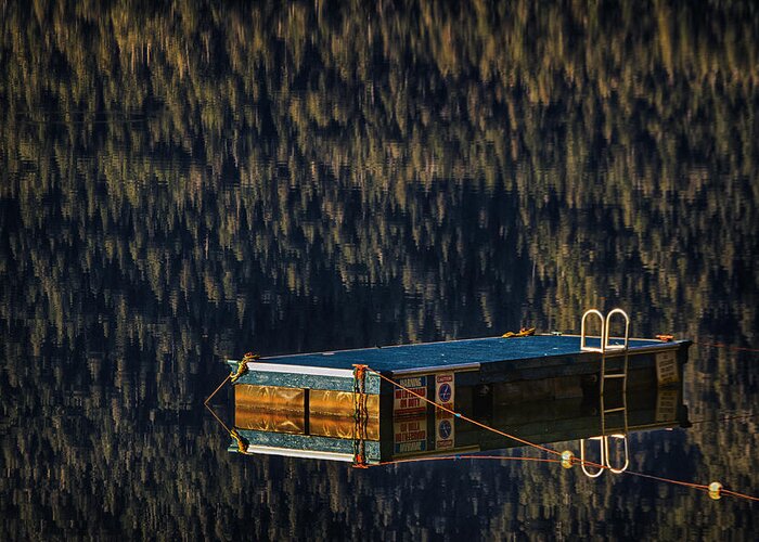 Swim Greeting Card featuring the photograph Swim Platform On Lake Quinault by Robert Woodward