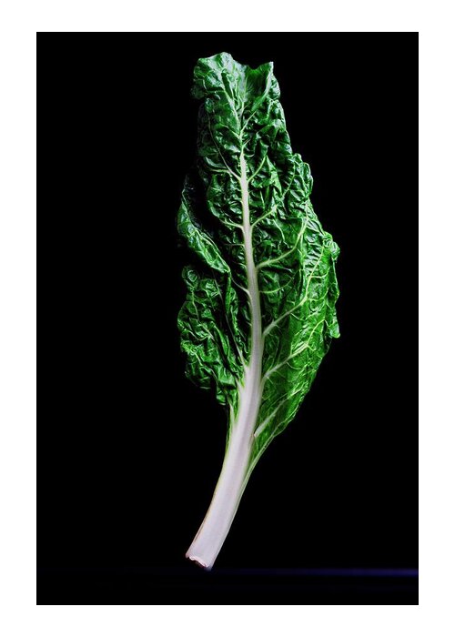 #faatoppicks Greeting Card featuring the photograph Swiss Chard by Romulo Yanes