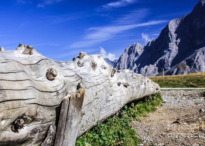 The Alps In Switzerland Greeting Card featuring the photograph Switzerland Landscape by Mina Isaac