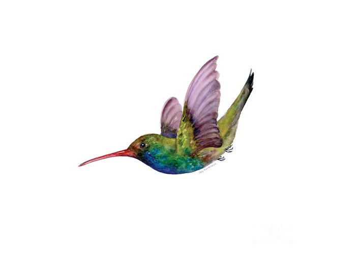 Bird Greeting Card featuring the painting Swooping Broad Billed Hummingbird by Amy Kirkpatrick