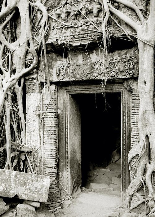 Ancient Greeting Card featuring the photograph Ta Prohm Doorway by Shaun Higson