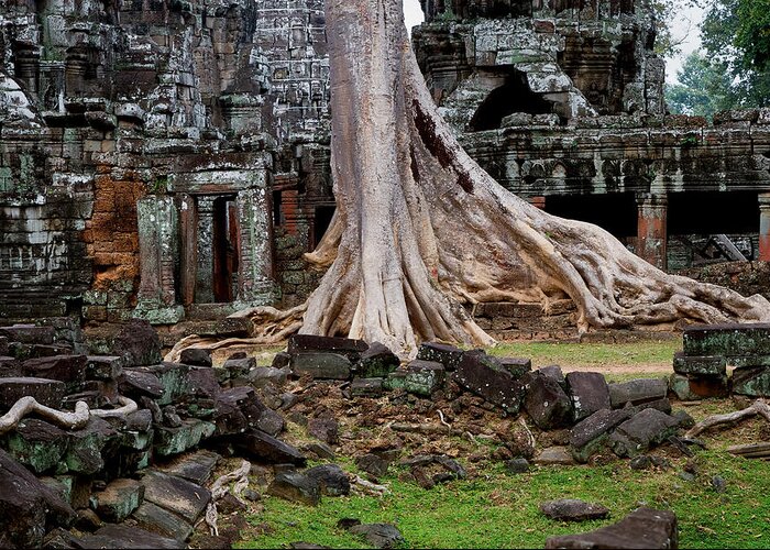 Ancient Greeting Card featuring the photograph Ta Prohm Temple Ruins by Artur Bogacki
