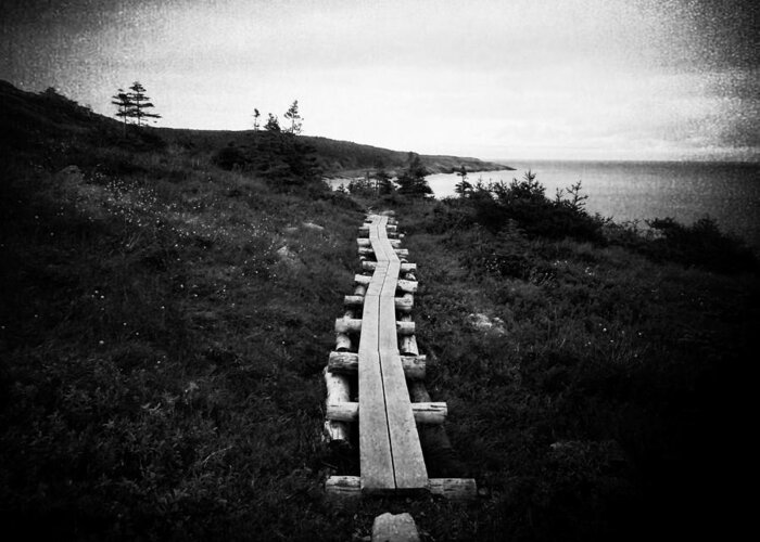 Sea Greeting Card featuring the photograph Take Me to the Sea - East Coast Trail by Zinvolle Art