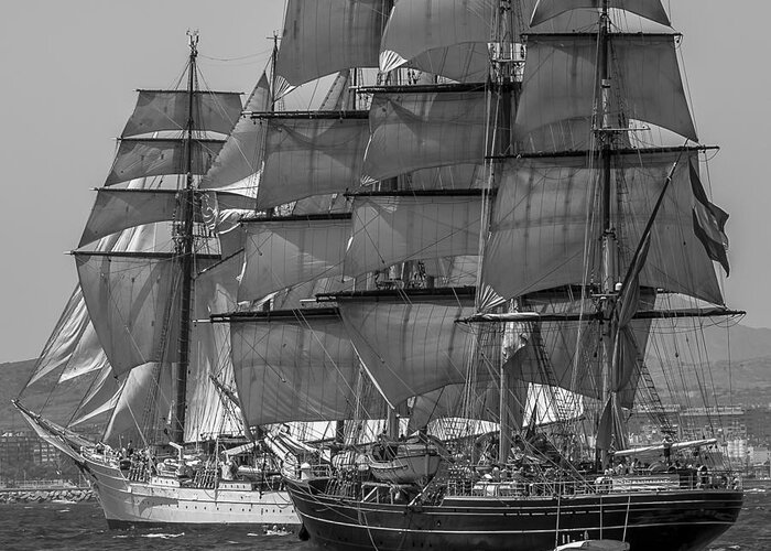Tall Ships Greeting Card featuring the photograph Tall Ship Stad Amsterdam by Pablo Avanzini