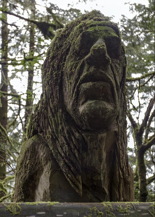 Trees Of Mystery Greeting Card featuring the photograph Tall Tales Bust by Rick Starbuck