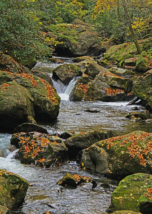 Landscape Greeting Card featuring the photograph Tallulah River - Georgia by Richard Krebs