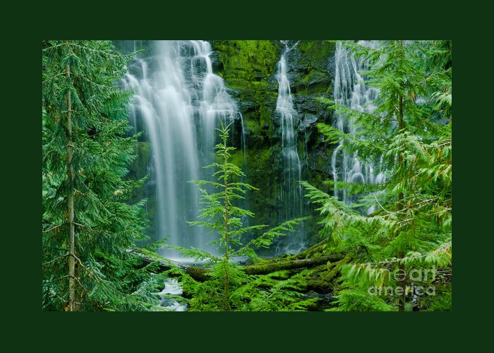 Pacific Greeting Card featuring the photograph Pacific Northwest Waterfall by Nick Boren