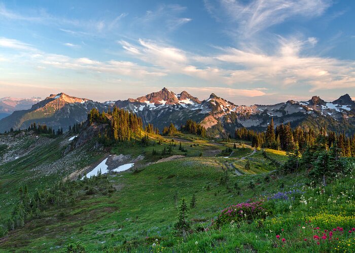 Alpine Greeting Card featuring the photograph Tatoosh Range Wildflowers from Mazama Ridge by Michael Russell