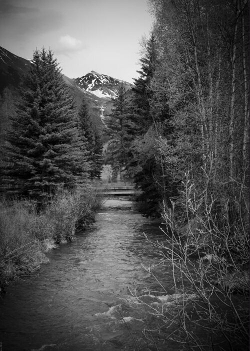 Telluride Greeting Card featuring the photograph Telluride Stream by Debbie Karnes