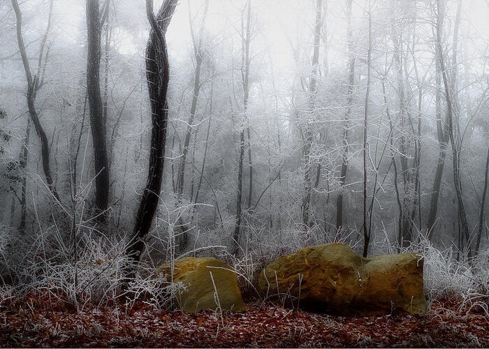 Landscape Frost Greeting Card featuring the photograph Tennessee Mountain Frost by Michael Eingle
