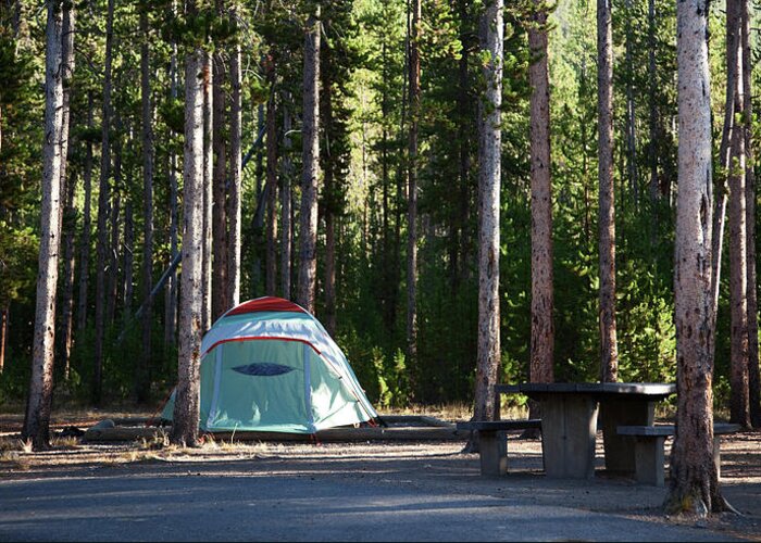 Camping Greeting Card featuring the photograph Tent In Yellowstone Campsite by Terryfic3d